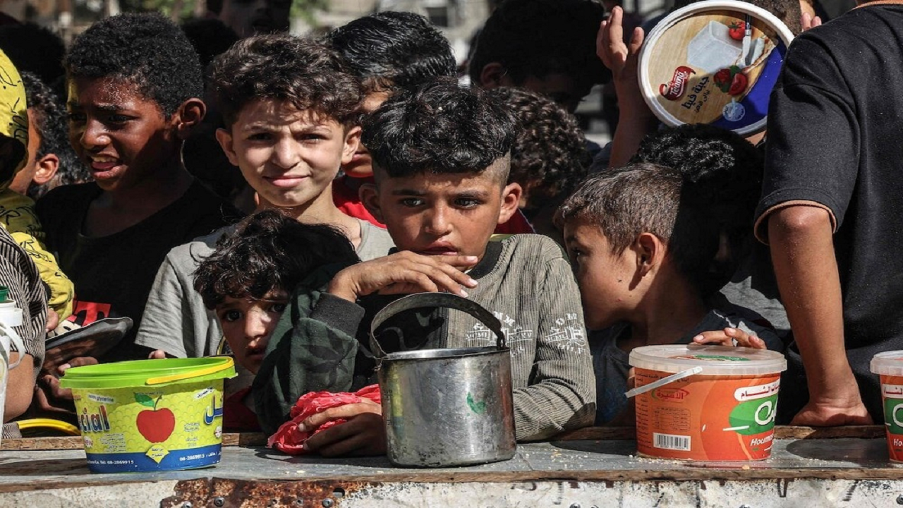 مقاومت در دل تراژدی مقاومت در دل تراژدی