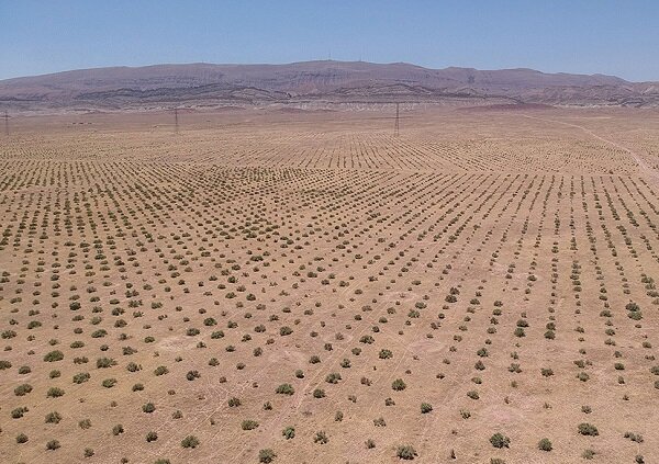همکاری ایران و سازمان ملل در راستای تمرکز بر بیابان‌زدایی