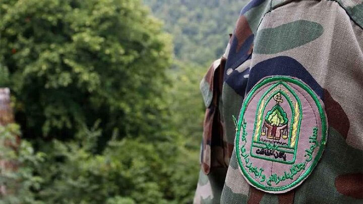 پیام رئیس سازمان منابع طبیعی به مناسبت روز ملی جنگلبان