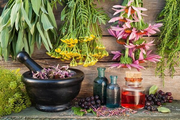 عطر درمان از دل کویر؛ سیستان و بلوچستان سرزمین گیاهان شفابخش