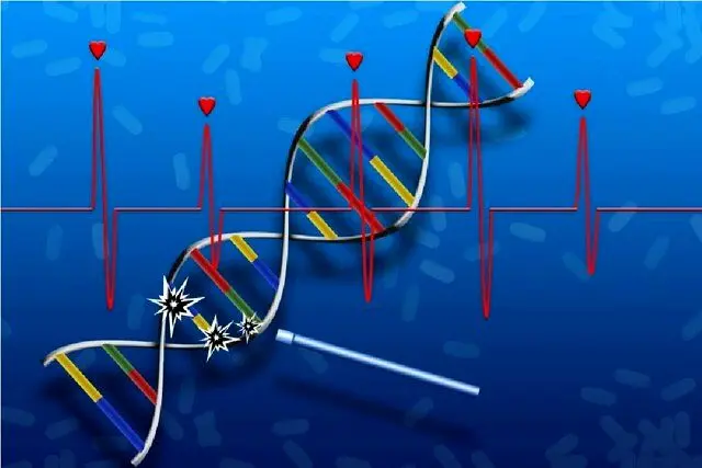 ابداع اولین داروی ترمیم DNA و بازسازی بافت آسیب‌دیده