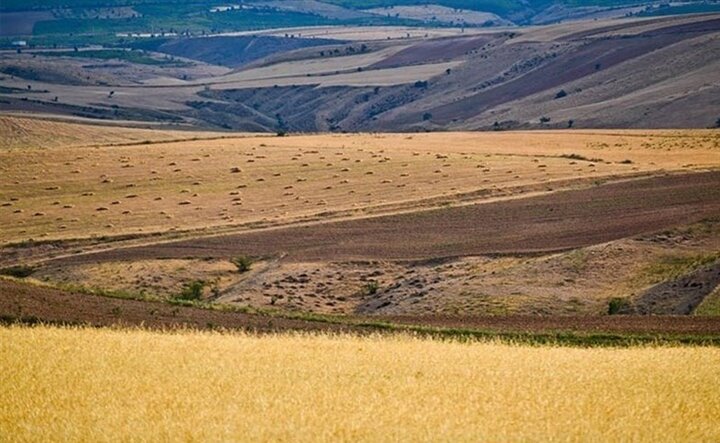 پرداخت وام قرض الحسنه ۲۰۰ میلیون تومانی برای توسعه دیمزارها پرداخت وام قرض الحسنه ۲۰۰ میلیون تومانی برای توسعه دیمزارها