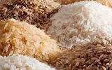 واردات برنج موجب تعدیل قیمت‌ها می‌شود/ کاهش ۲۰ درصدی واردات
