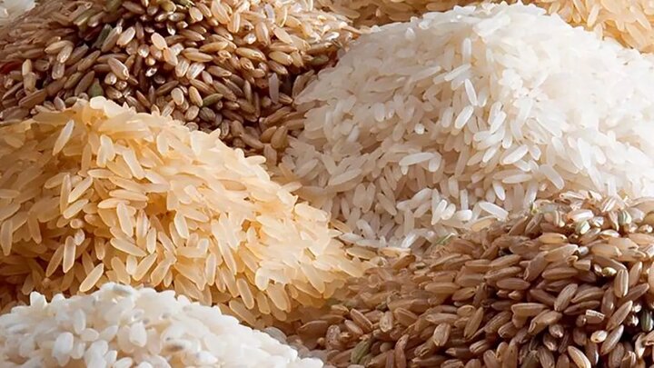 واردات برنج موجب تعدیل قیمتها میشود/ کاهش ۲۰ درصدی واردات واردات برنج موجب تعدیل قیمتها میشود/ کاهش ۲۰ درصدی واردات