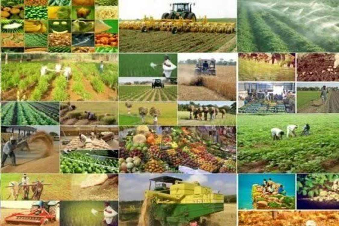 افتتاح و بهره‌برداری از ۲۳۳۵ طرح زیر بخش جهادکشاورزی در هفته دولت