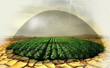 ۵ همت خسارت ناشی از بلایای طبیعی به بخش کشاورزی پرداخت شد