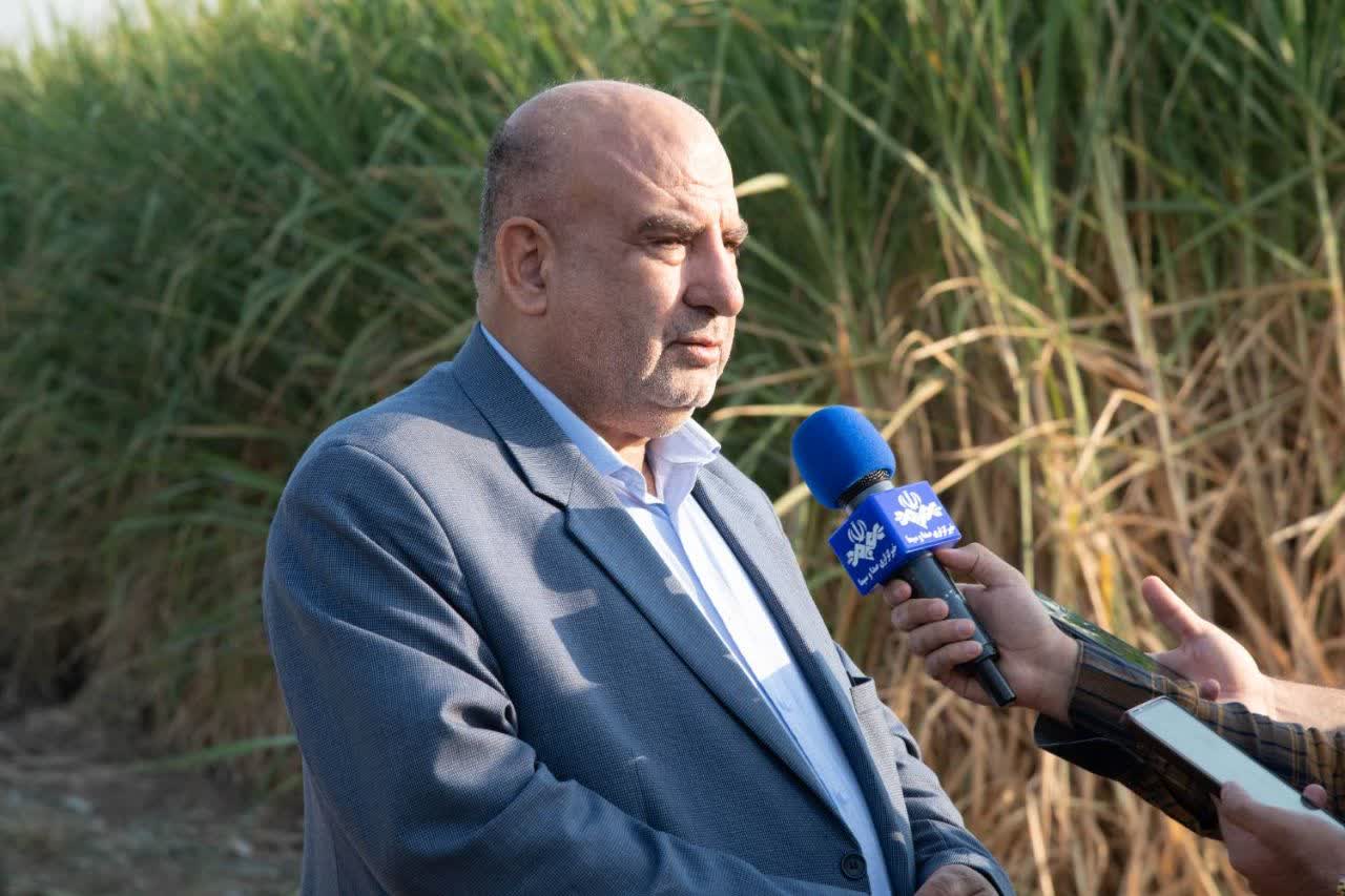 پیشبینی برداشت بیش از ۶ و نیم میلیون تن نیشکر در طرحهای هفتگانه نیشکر خوزستان پیشبینی برداشت بیش از ۶ و نیم میلیون تن نیشکر در طرحهای هفتگانه نیشکر خوزستان