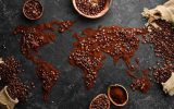 برخورد دوگانه در صنایع غذایی و عدم فهم مشترک از نیازها
