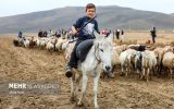 جامعه عشایری به شکل هدفمند وارد سرشماری شود