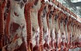 وزارت جهاد کشاورزی علاقه‌ای به واردات گوشت ندارد