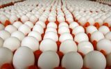 امروز هر کیلو گرم تخم‌مرغ حداکثر ۵۶ هزار تومان خریدوفروش می‌شود