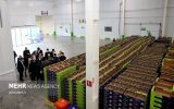 تعاملی برد-برد بین جامعه تولیدکنندگان و مصرف‌کنندگان باید برقرار باشد
