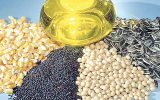 ثبت‌سفارش واردات دانه‌های روغنی و شکر خام از فردا آغاز می‌شود