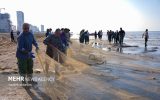 ممنوعیت صید تجاری ماهیان خاویاری دریای خزر تمدید شد