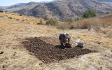 کشاورزان قطب سیر ایران در جستجوی آب و امید/ چاه‌های «تیمورلو» شور شد
