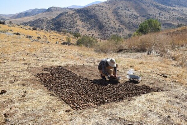 کشاورزان قطب سیر ایران در جستجوی آب و امید/ چاه‌های «تیمورلو» شور شد