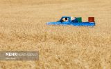 ارتقای امنیت غذایی کشور به نهاده‌های کشاورزی وابسته است