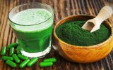 گردش مالی صنعت جلبک در جهان بیش از ۲۱ میلیارد دلار است