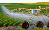 ارائه تسهیلات ویژه تا ۵ میلیارد تومان برای حمایت از تولید