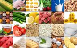 ۲۷۸ اقدام برای امنیت غذایی کشور