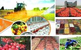 تغییرات مقررات تجاری سال جدید در یک نگاه