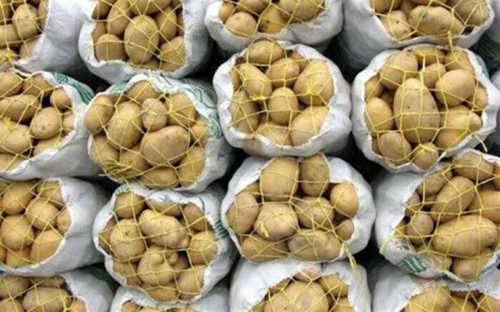 عرضه گسترده میوه و سیب‌زمینی توسط سازمان تعاون روستایی در سراسر کشور