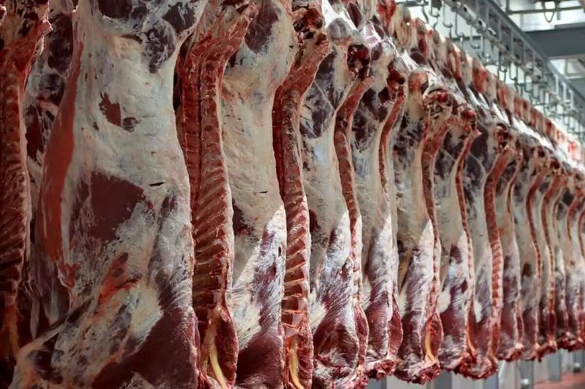 اکنون بین قیمت دام زنده و گوشت هیچ ارتباط منطقی وجود ندارد