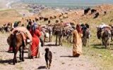 آغاز کوچ عشایر زاگرسی به مناطق ییلاقی آغاز کوچ عشایر زاگرسی به مناطق ییلاقی