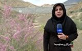 نجات رودخانه‌ها و سد‌ها با آبخیزداری