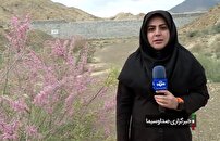 نجات رودخانهها و سدها با آبخیزداری نجات رودخانهها و سدها با آبخیزداری