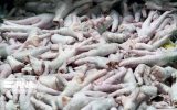 صادرات پای مرغ ایران به چین، گامی تازه در روابط اقتصادی دو کشور صادرات پای مرغ ایران به چین، گامی تازه در روابط اقتصادی دو کشور