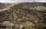 نابودی یک میلیون هکتار جنگل زاگرسی در اثر خشکسالی