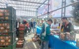 طرح تنظیم بازار نوروز ۱۴۰۴ زیانی برای تعاون روستایی نداشت طرح تنظیم بازار نوروز ۱۴۰۴ زیانی برای تعاون روستایی نداشت
