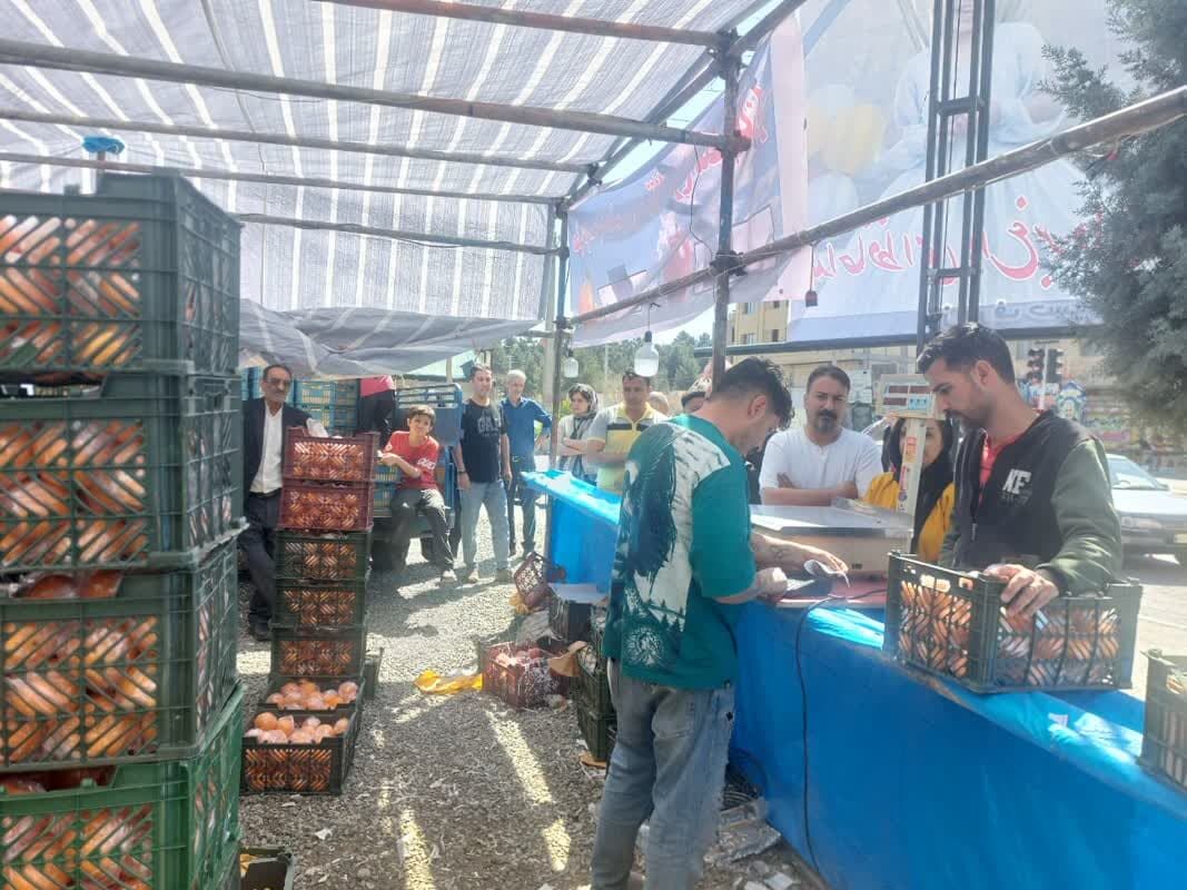طرح تنظیم بازار نوروز ۱۴۰۴ زیانی برای تعاون روستایی نداشت طرح تنظیم بازار نوروز ۱۴۰۴ زیانی برای تعاون روستایی نداشت