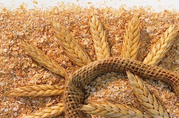 قیمت سبوس گندم آزاد شد قیمت سبوس گندم آزاد شد
