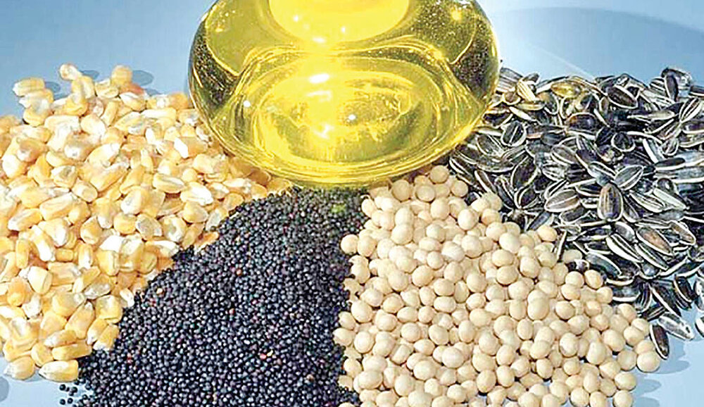 تولید دانههای روغنی در استانهای کشور به تفکیک+ جدول تولید دانههای روغنی در استانهای کشور به تفکیک+ جدول