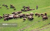 حفظ منابع طبیعی نیازمند الگوی مشارکتی