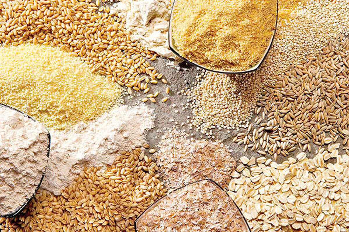 اصلاحیه دولت برای کاهش مالیات ارزش افزوده نهادههای دامی اصلاحیه دولت برای کاهش مالیات ارزش افزوده نهادههای دامی