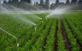هدف‌گذاری اجرای ۷۰ هزار هکتار سامانه‌های نوین آبیاری در اراضی کشاورزی