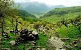 اجلاسیه بینالمللی مدیریت پایدار جنگلهای زاگرس برگزار میشود اجلاسیه بینالمللی مدیریت پایدار جنگلهای زاگرس برگزار میشود