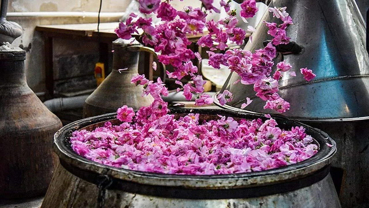اردیبهشت؛ ماه سفرهای بهاری و جاذبههای طبیعی اردیبهشت؛ ماه سفرهای بهاری و جاذبههای طبیعی