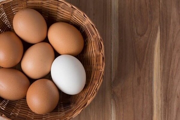 اصلاح قیمت تخم‌مرغ با پیشنهاد حدود ۳۰ درصد افزایش