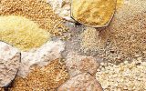 اصلاحیه دولت برای کاهش مالیات ارزش افزوده نهادههای دامی اصلاحیه دولت برای کاهش مالیات ارزش افزوده نهادههای دامی