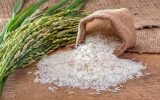 برنج چگونه وارد سفره ایرانیان شد؟/ ویدئو