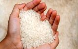 برنج ۴۸ هزار تومانی وارد بازار شد؛ ترکیان: برنج ارزان را از کجا می‌توان خرید؟