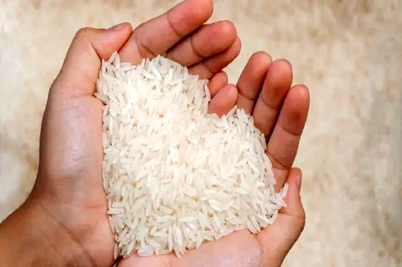 برنج ۴۸ هزار تومانی وارد بازار شد؛ ترکیان: برنج ارزان را از کجا میتوان خرید؟ برنج ۴۸ هزار تومانی وارد بازار شد؛ ترکیان: برنج ارزان را از کجا میتوان خرید؟