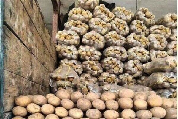 توزیع روزانه ۱۸۰ تن سیب زمینی در میادین و بازارهای میوه
