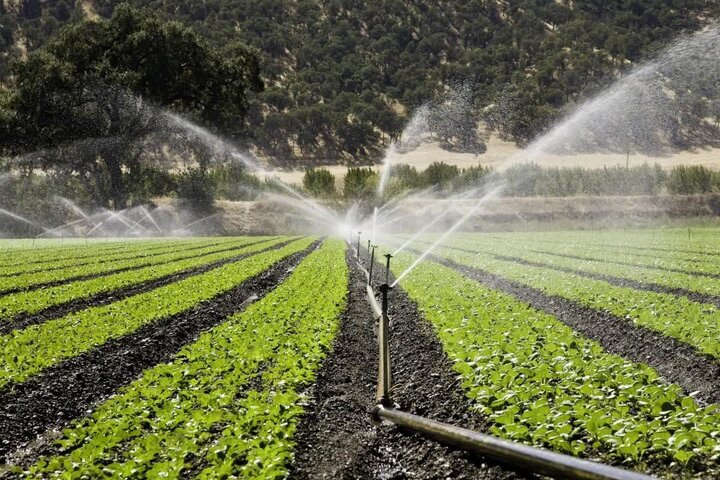 جلسه اضطراری برای کاهش آب اختصاصی بخش کشاورزی