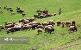 حفظ منابع طبیعی نیازمند الگوی مشارکتی حفظ منابع طبیعی نیازمند الگوی مشارکتی