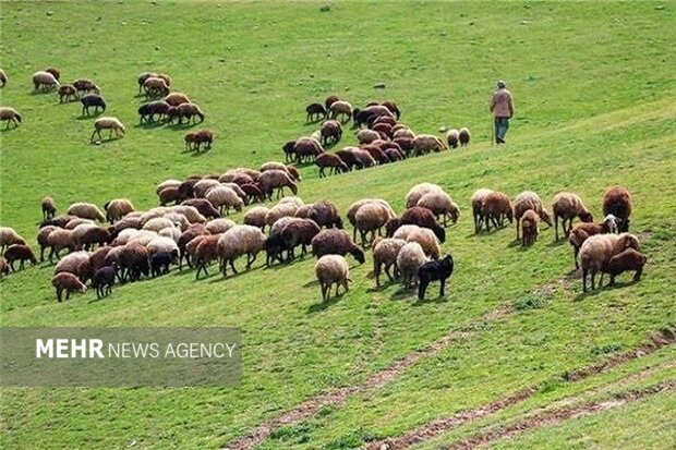 حفظ منابع طبیعی نیازمند الگوی مشارکتی